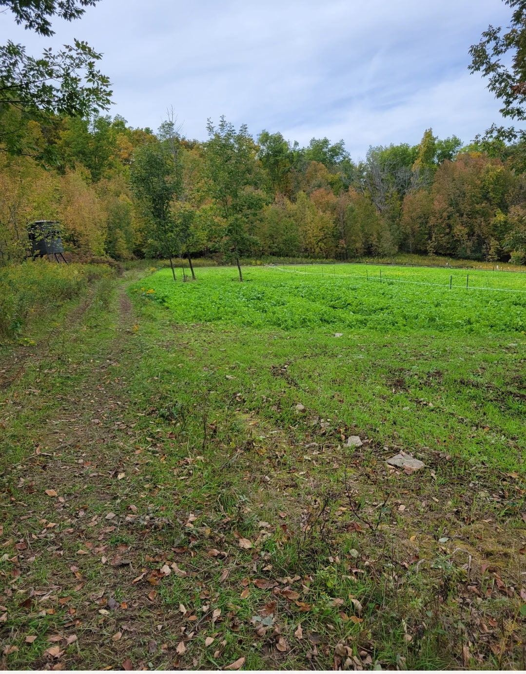 3-Day Guided Whitetail Deer Hunt in Steuben County, NY | Trophy Hunting Package