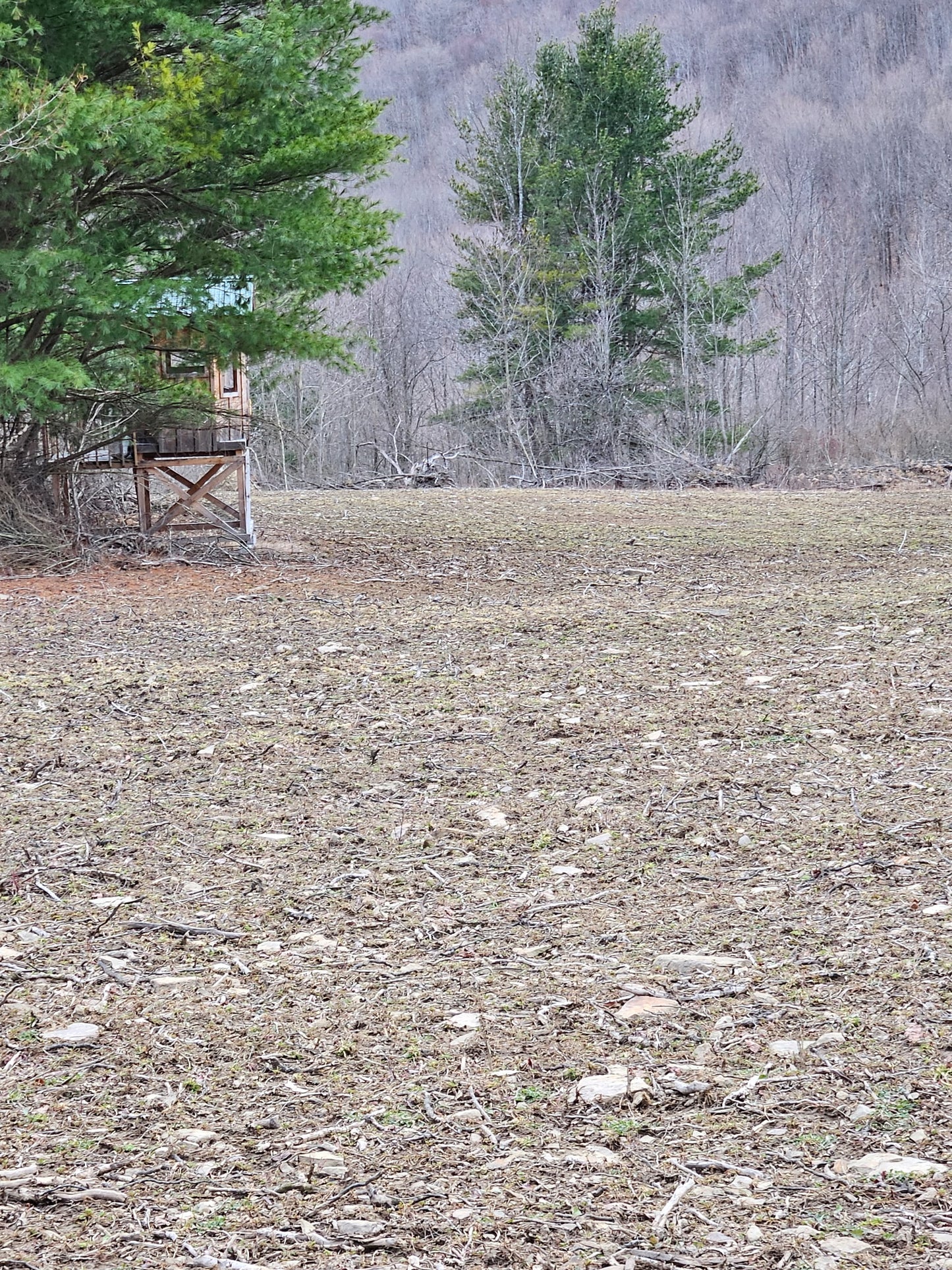 3-Day Guided Whitetail Deer Hunt in Steuben County, NY | Trophy Hunting Package