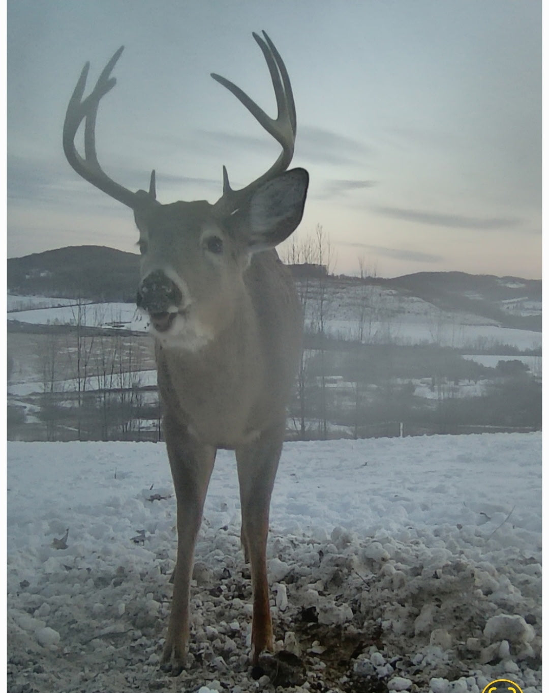 3-Day Guided Whitetail Deer Hunt in Steuben County, NY | Trophy Hunting Package