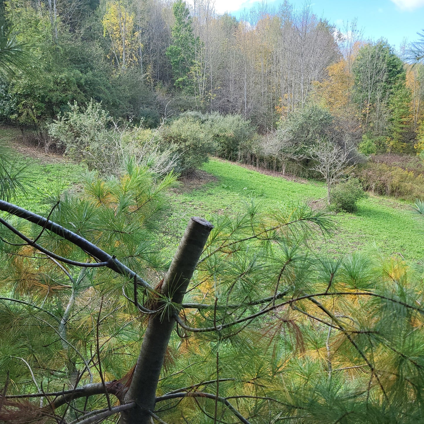 3-Day Guided Whitetail Deer Hunt in Steuben County, NY | Trophy Hunting Package