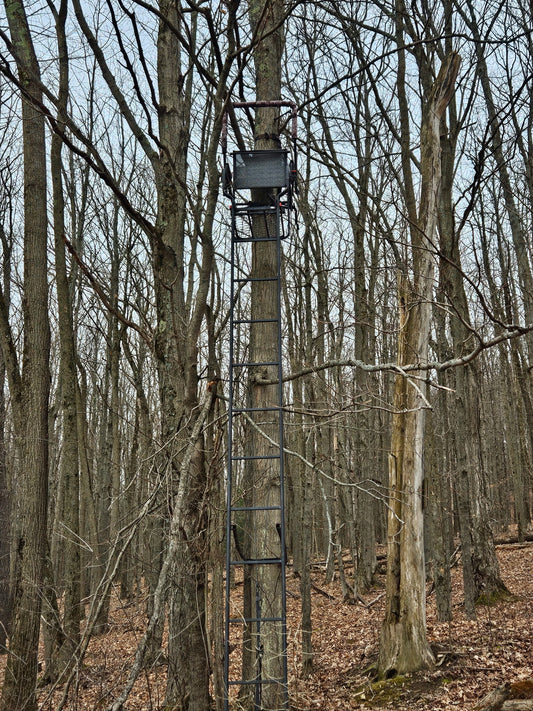3-Day Guided Whitetail Deer Hunt in Steuben County, NY | Trophy Hunting Package