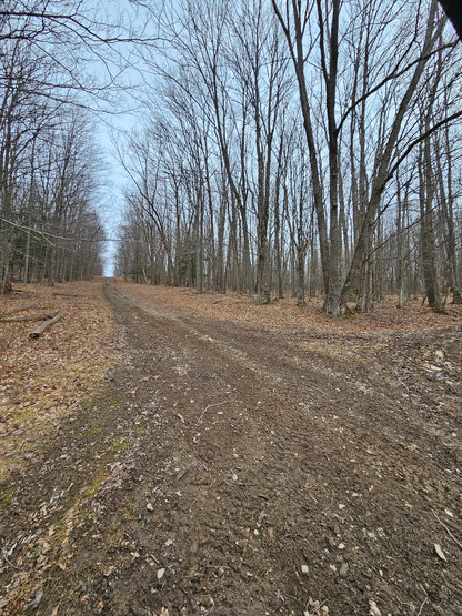 7-Day Ultimate Guided Whitetail Deer Hunt in Steuben County, NY | Full-Service Hunting Package