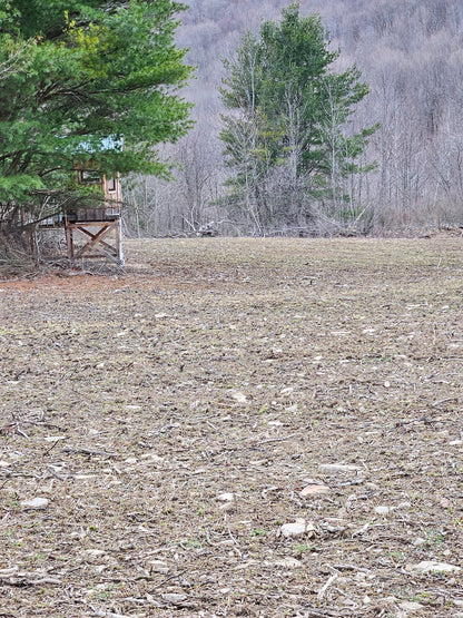 3-Day Guided Whitetail Deer Hunt in Steuben County, NY | Trophy Hunting Package