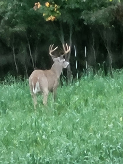 3-Day Guided Whitetail Deer Hunt in Steuben County, NY | Trophy Hunting Package
